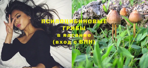 ешки Балахна