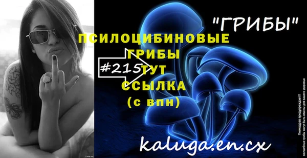 Альфа ПВП Балабаново